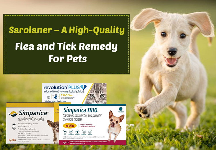 Sarolaner – Flea and Tick Remedy For Pets