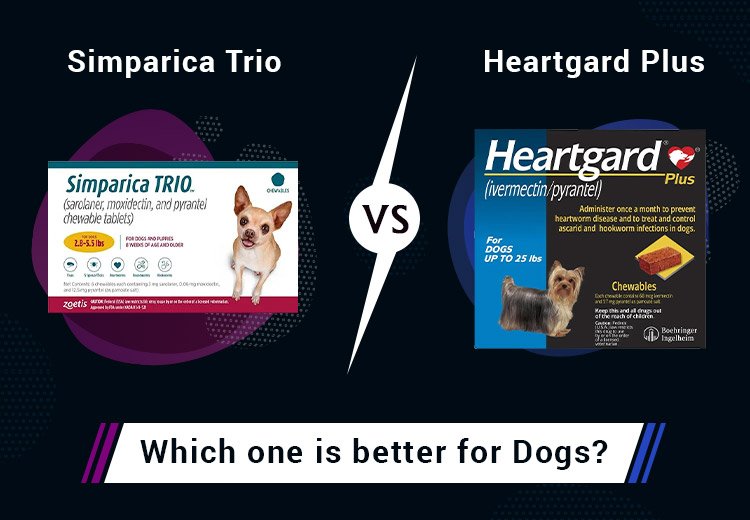 Simparica Trio or Heartgard Plus: Which one is better for Dogs?
