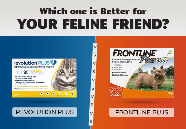 Revolution Plus vs. Frontline Plus - Which one is Better for your Feline Friend?