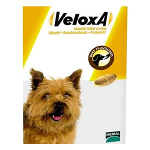 Veloxa Chewable Tablets for Small/Medium Dogs up to 22lbs (10 kg)