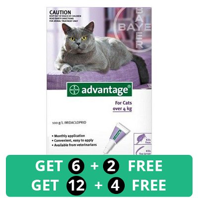 Advantage Cats over 9lbs (Purple)