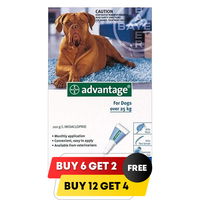 Advantage Extra Large Dogs over 55 lbs (Blue)