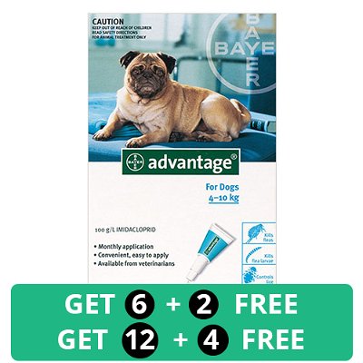 Advantage Medium Dogs 11-20lbs (Aqua)
