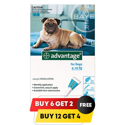 Advantage Medium Dogs 11-20lbs (Aqua)