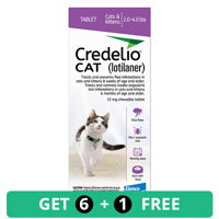 Credelio for Cat Supplies