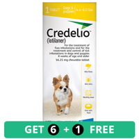 Credelio for Dog Supplies