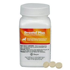 Drontal Plus for Medium Dogs 6lbs - 22lbs (3.1 - 10 Kg)