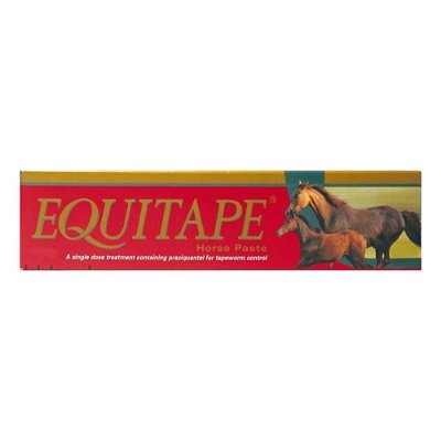 Equitape Horse Wormer Paste 6.67 gm