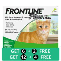 Frontline Plus for Cat Supplies
