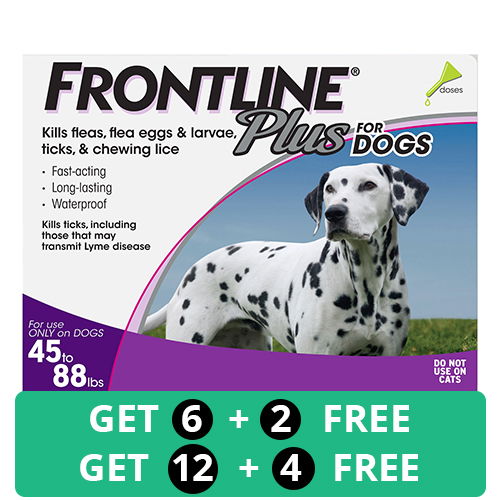 Can a dog wear a flea collar with frontline hotsell