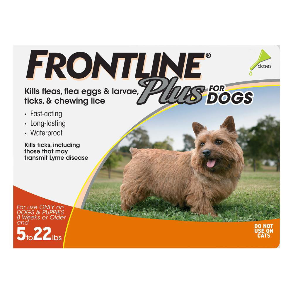 Frontline Spray for Cats: Overview, Dosage &Amp; Side Effects 