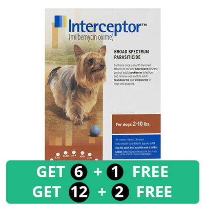 Interceptor For Extra Small Dogs 2-10 lbs (Brown)