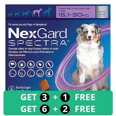Nexgard Spectra Tab Large Dog 33-66 lbs Purple