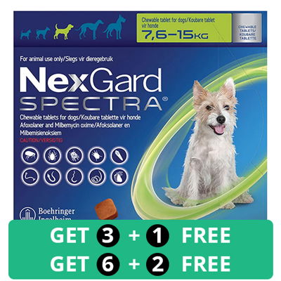 Nexgard Spectra Tab Medium Dog 16.5-33 lbs Green