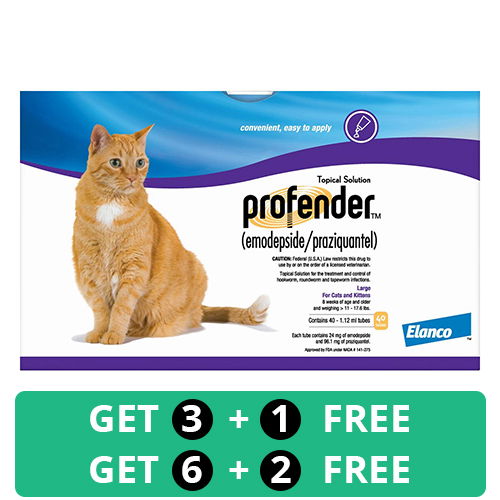 Profender dosage 2024 for cats