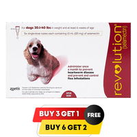 Revolution for Medium Dogs 20.1-40lbs (Red)