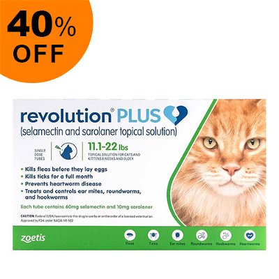 Revolution Plus for Large Cats 11-22lbs (5-10Kg) Green