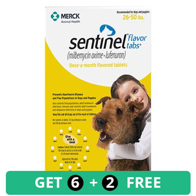 Sentinel For dogs 26-50 lbs (Yellow)