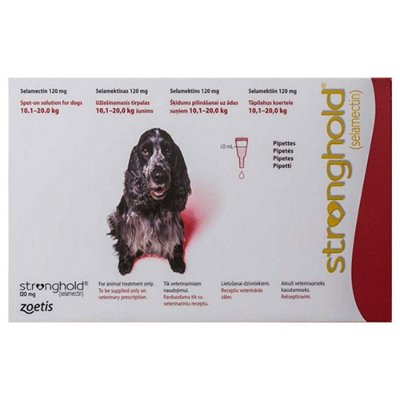 Stronghold Dogs 22lbs - 44lbs (10.1-20.0 Kg) 120 Mg Red