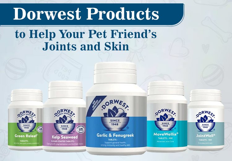 Dorwest Products to Help Your Pet Friend’s Joints and Skin