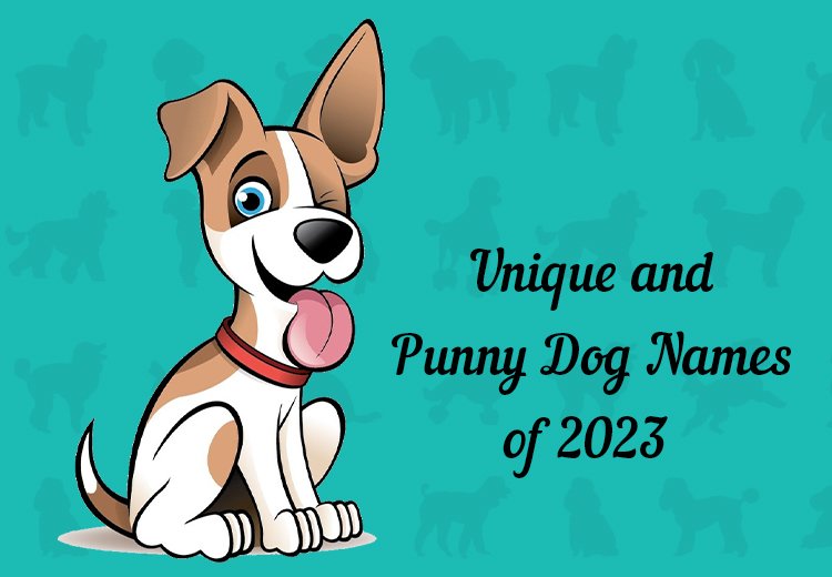 Unique and Punny Dog Names of 2023