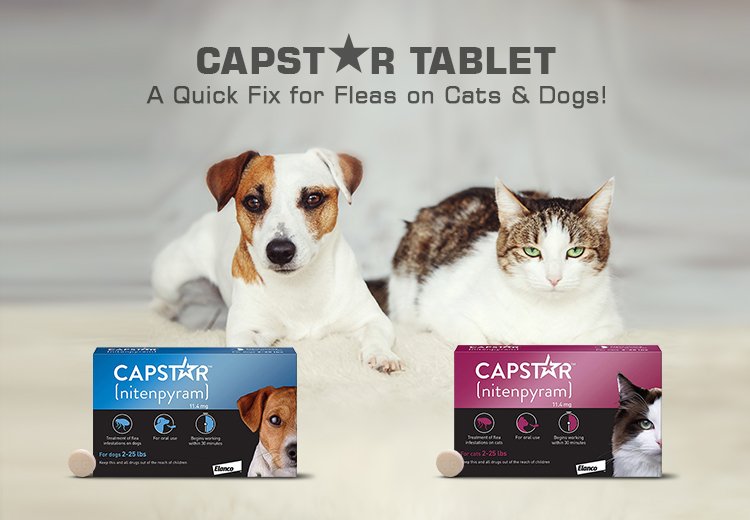 Capstar Tablet A Quick Fix for Fleas on Cats Dogs