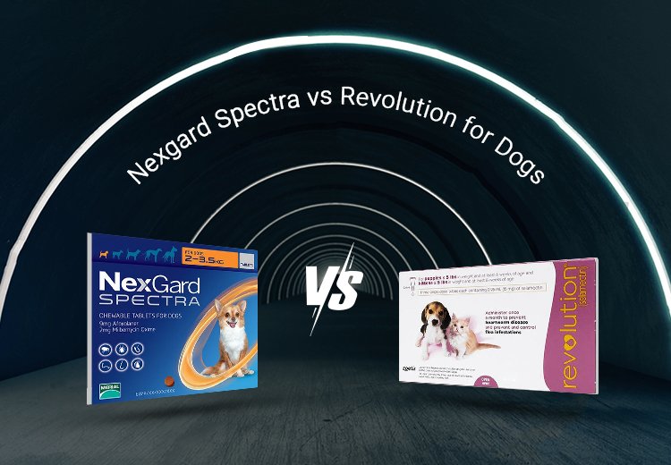 Nexgard Spectra vs Revolution for Dogs