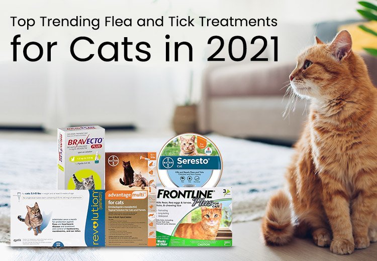 Top Trending Flea and Tick Treatments for Cats in 2021