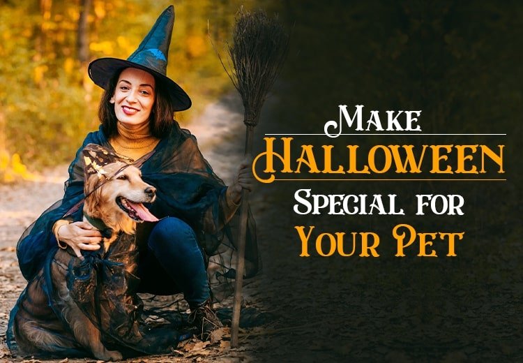 Make Halloween Special for Your Pet