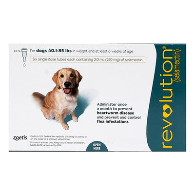 Revolution for Large Dogs 40.1-85lbs (Green)