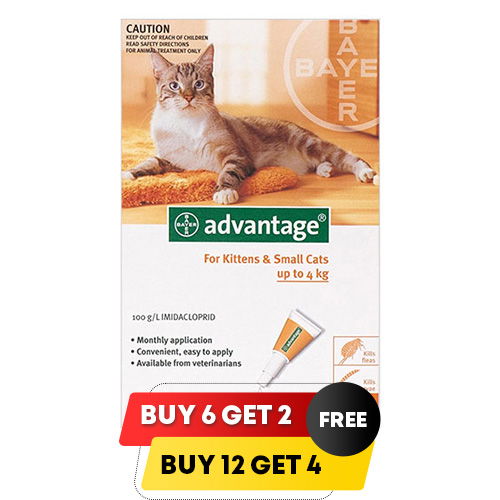 Advantage for Cat Supplies