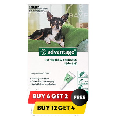 Advantage Small Dogs/ Pups 1-10lbs (Green)