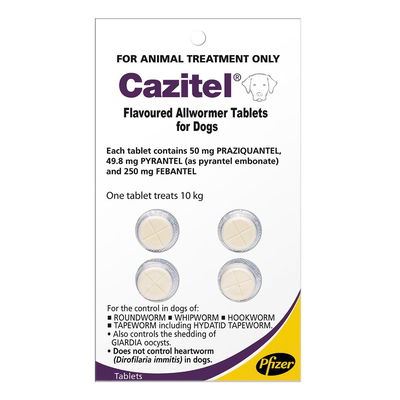 Cazitel Flavoured Allwormer