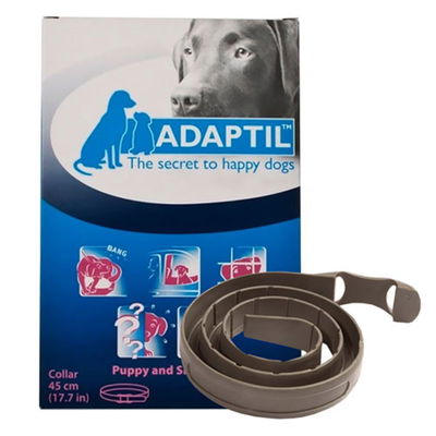 DAP Collar Pup/Small Dog