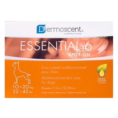 Essential 6 for Dog Supplies