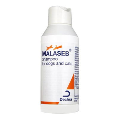 Malaseb Shampoo For Cats