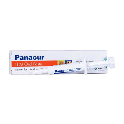 Panacur Paste Syringe for Cats/Dogs