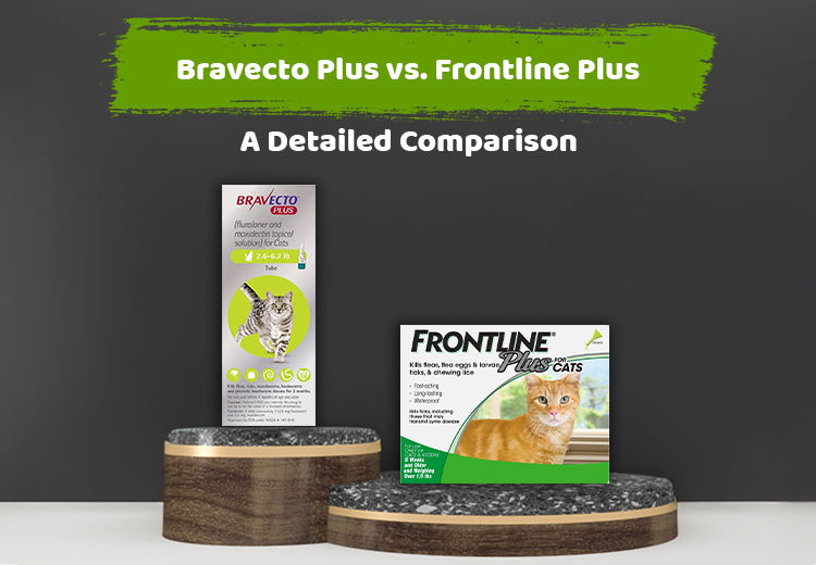 Bravecto Plus vs. Frontline Plus – A Detailed Comparison