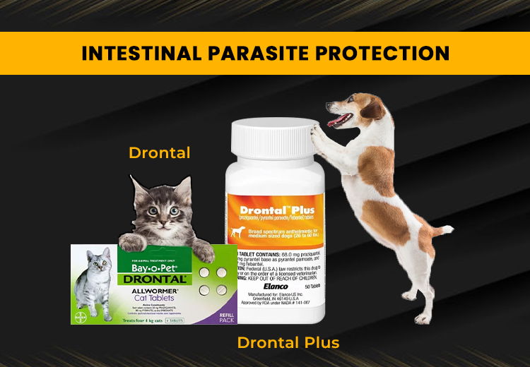 Drontal & Drontal Plus