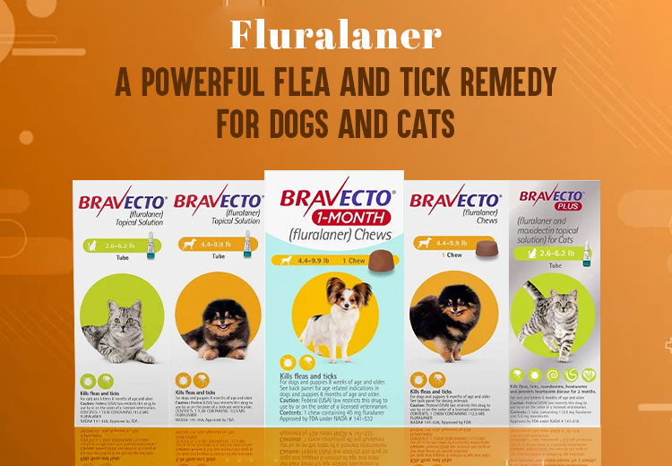 Use of Fluralaner in Dogs and Cats