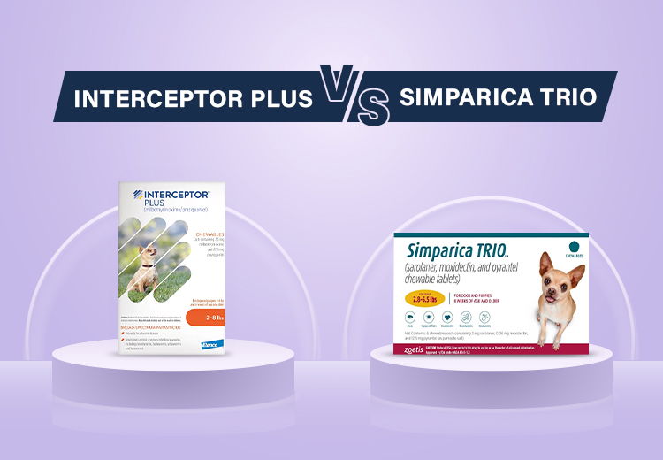 Interceptor Plus Vs Simparica Trio