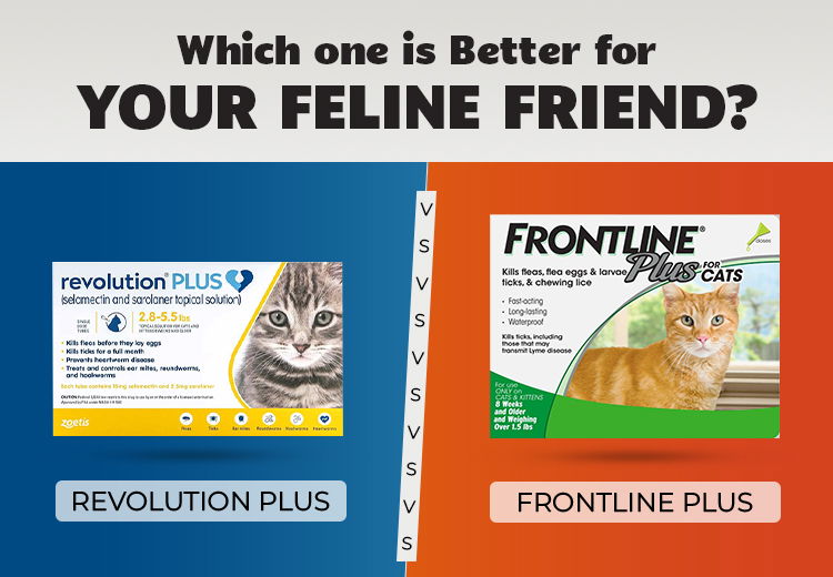 Revolution Plus vs. Frontline Plus - Which one is Better for your Feline Friend?